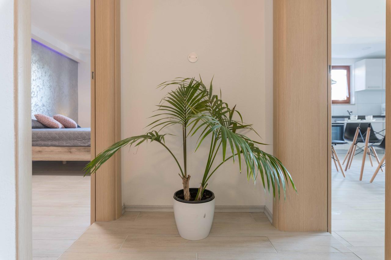 Apartments Villa Tre Marie روفينج المظهر الخارجي الصورة